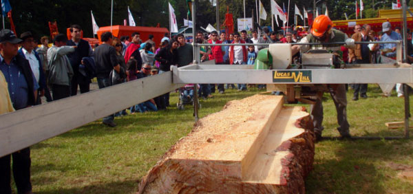 Demostración aserraderos lucas mill